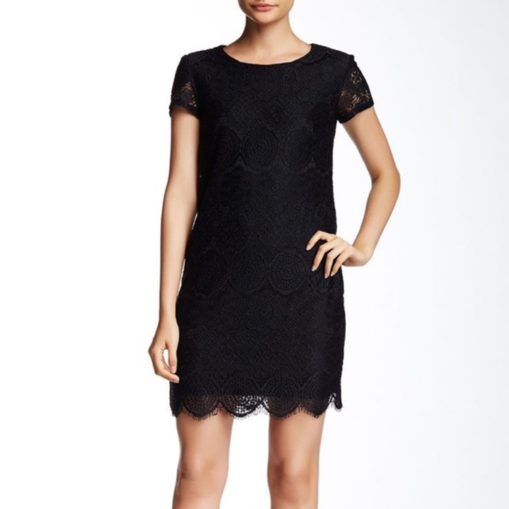 NWOT Laundry by Shelli Segal
